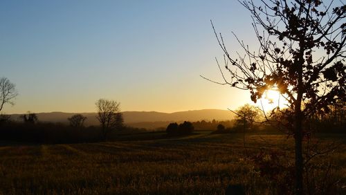 Scenic view of field against sky during sunset