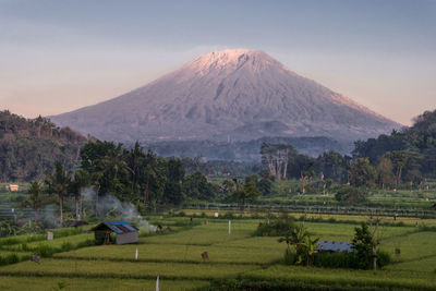 Scenic view of landscape and mountain against sky