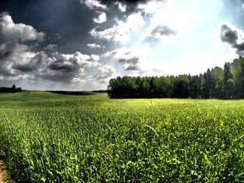 Scenic view of field against cloudy sky