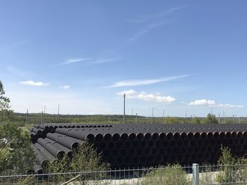 Plants growing on field against sky