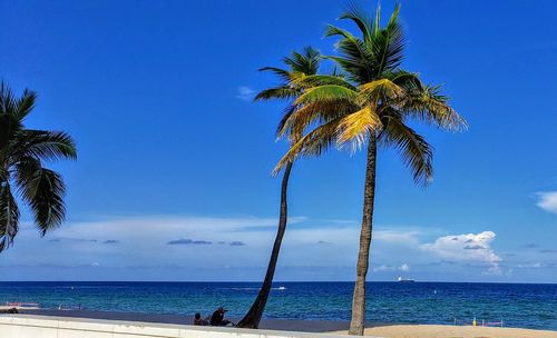 Palm tree by sea against sky