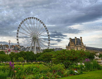 ferris wheel