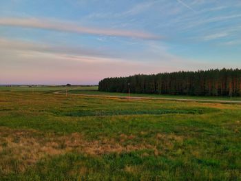 Scenic view of field against sky during sunset