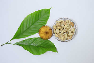 Directly above shot of fruits and leaves on white background