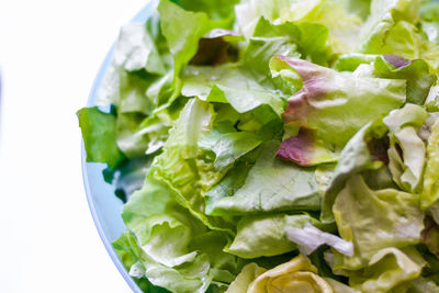 Close-up of salad