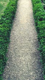 High angle view of dirt road on field