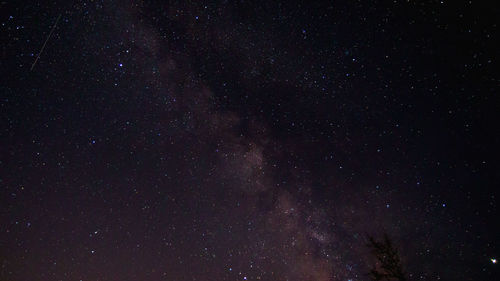 Low angle view of stars in sky