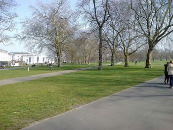 View of bare trees in city