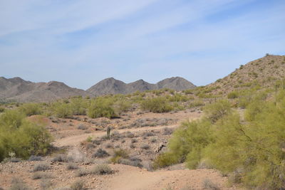 Scenic view of landscape against sky