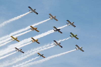 Low angle view of birds flying against sky