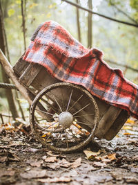 Close-up of damaged wagon wheel in forest