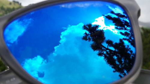 Low angle view of trees against blue sky