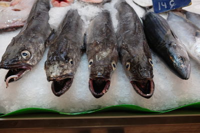 High angle view of fish for sale in market