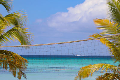 Palm tree on beach against sky