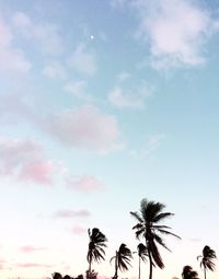 Low angle view of silhouette palm trees against sky