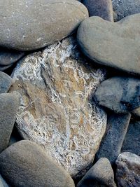 Full frame shot of stones