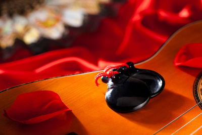 Close-up of insect on red table