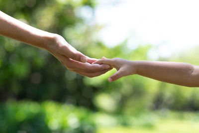 Close-up of hands on tree