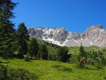 Scenic view of mountains against clear blue sky