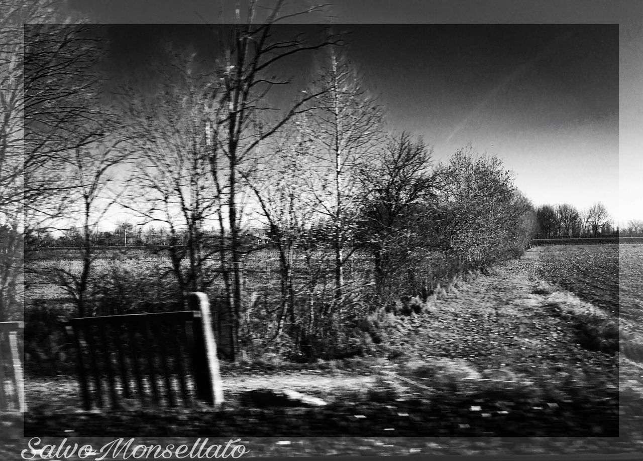 water, tree, nature, outdoors, no people, day, lake, tranquility, scenics, bare tree, beauty in nature, sky