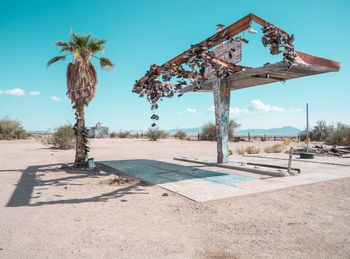 Palm tree by abandoned built structure against sky