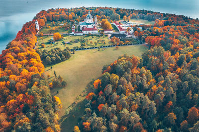 Aerial view of trees and buildings during autumn
