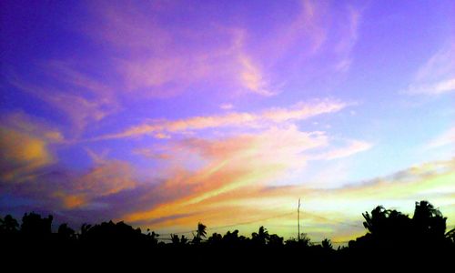 Silhouette of trees at sunset