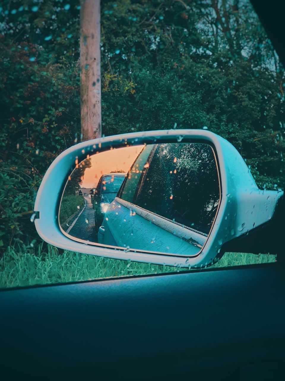 mode of transportation, transportation, car, motor vehicle, land vehicle, glass - material, reflection, side-view mirror, no people, day, nature, tree, plant, close-up, outdoors, water, wet, travel, transparent, raindrop