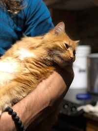 Close-up of cat with eyes closed