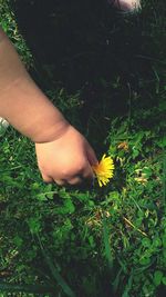 Low section of woman with yellow flowers