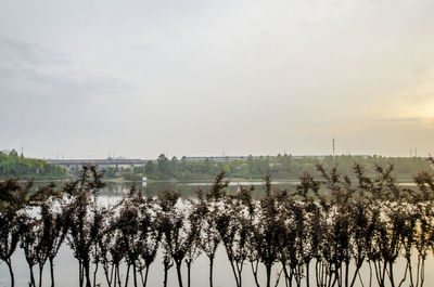 Scenic view of landscape against clear sky