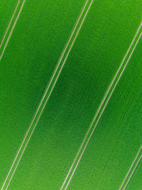 High angle view of soccer field