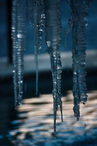Close-up of icicles