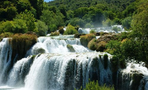 Scenic view of waterfall in forest