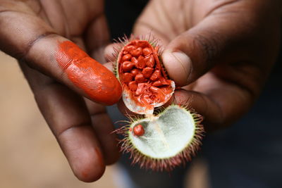 Close-up of hand holding strawberry