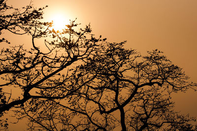 Low angle view of silhouette tree against sky during sunset