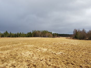 Scenic view of field against sky