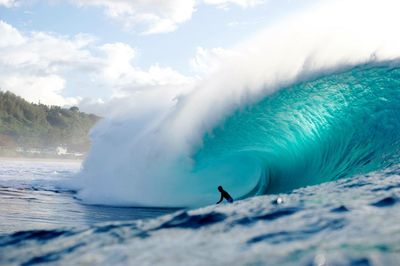 Silhouette of people surfing in sea