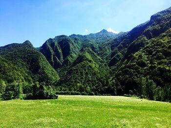 Scenic view of green landscape against clear sky