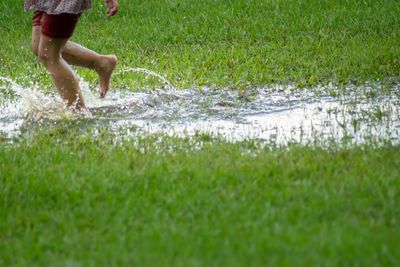 Low section of man walking on grass