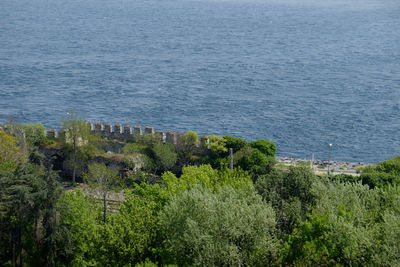 High angle view of plants by sea against sky