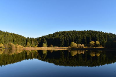 Reflection of trees in lake against clear sky