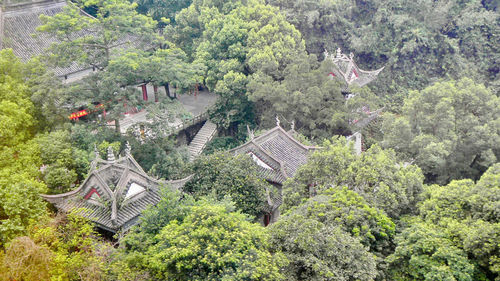 High angle view of trees and house in forest
