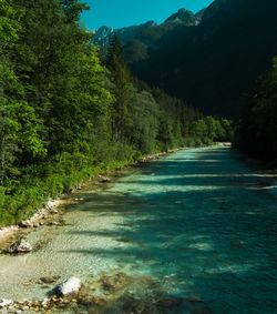 Scenic view of waterfall in forest against sky