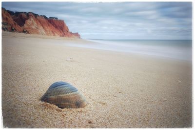 Surface level of pebble beach
