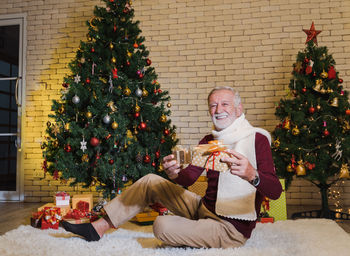 Portrait of smiling friends with christmas tree at home