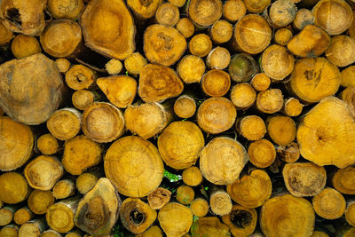 Full frame shot of logs