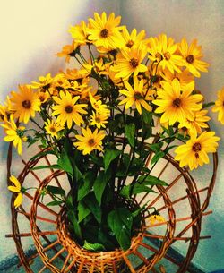 Close-up of yellow flowers