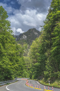 Road amidst trees against sky