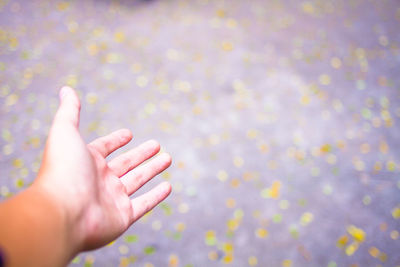 Cropped image of hand holding plant